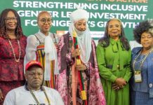 Only $1.25bn Deployed From $8bn Inclusion Investment Commitment as Stakeholders Warn of Deepening Economic Exclusion in Nigeria